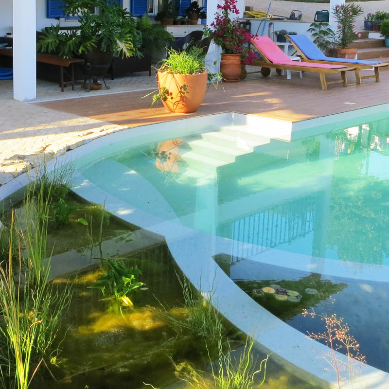 pond01