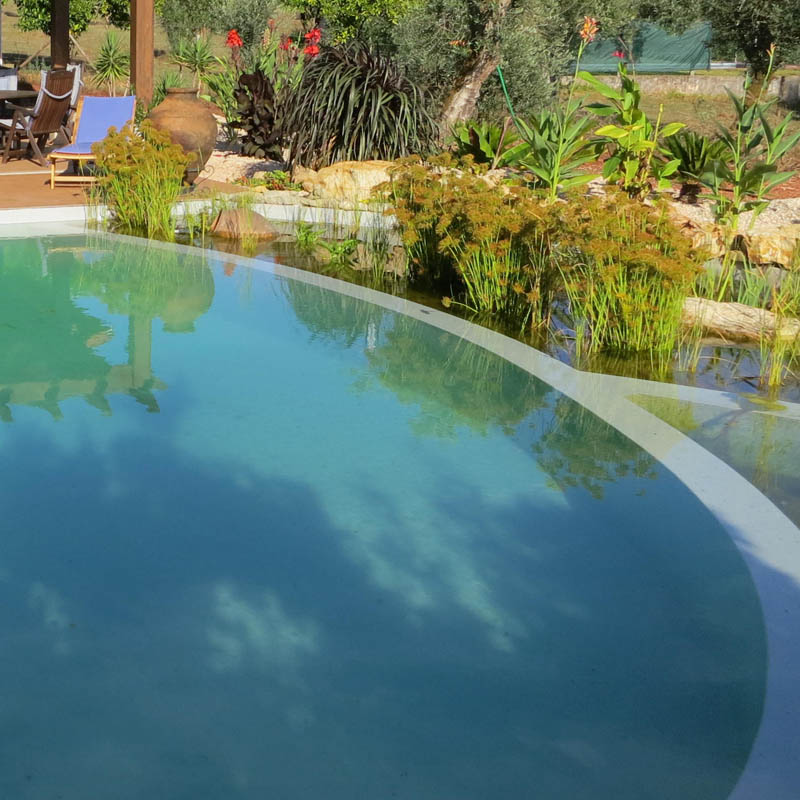 pond02